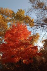 IMG_20241026_082036775~2.jpg IMG_20241026_082036775~2.jpg