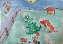 IMG_20241204_151949.jpg IMG_20241204_151949.jpg