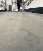 IMG_3964.jpeg IMG_3964.jpeg