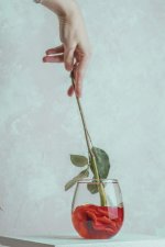 pexels-uppsychic-30801794.jpg pexels-uppsychic-30801794.jpg