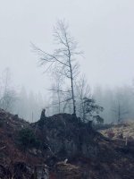 IMG_4168.jpeg IMG_4168.jpeg