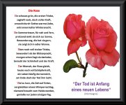 Bildgedicht Die Rose.jpg