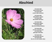 Bildgedicht Abschied.jpg