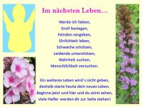 Bildgedicht Im nächsten Leben.jpg