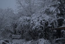 Schneenbank-Claudia-Reichmann (1).jpg