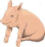 clker-free-vector-images-pig-48365_640.png