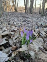 Bilder zu Gedichten.jpg