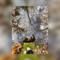 olafderwellensittich